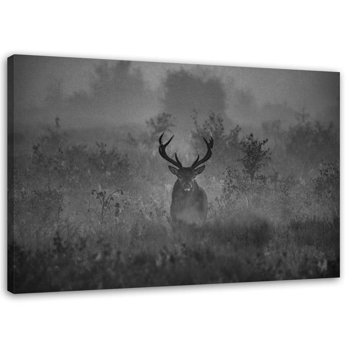 Feeby. Wandbild - 1 Teilig - 50x70 cm, Leinwand Bild Leinwandbilder Bilder Wandbilder Kunstdruck, HI