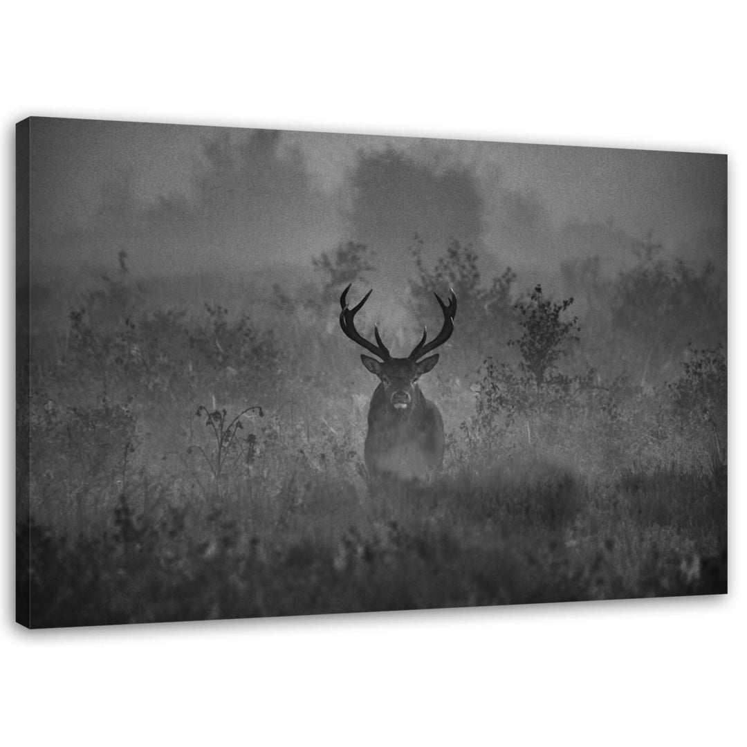 Feeby Wandbilder Hirsch Natur 60x40 cm 1Teilig Modern Leinwandbilder Bilder Bild auf Leinwand Kunstd