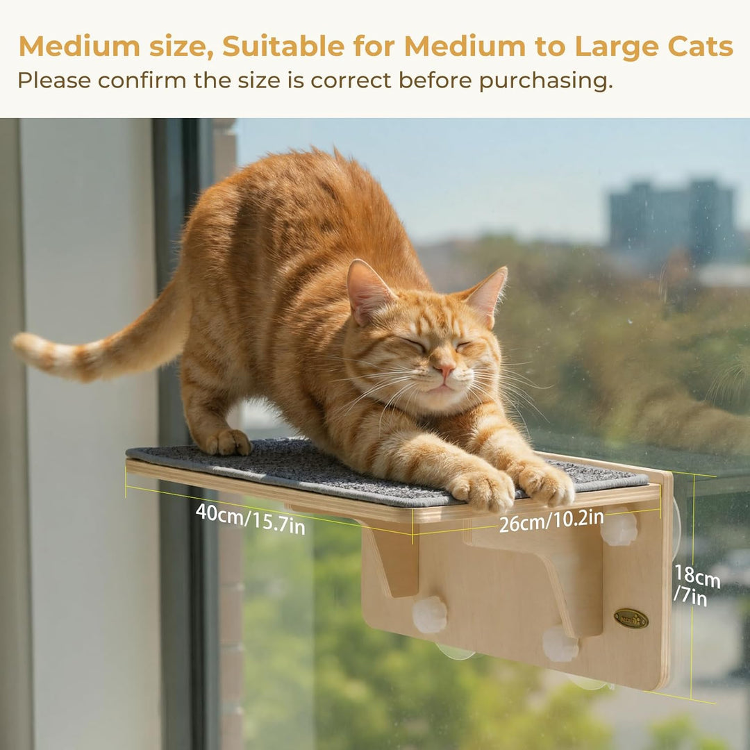 pecute Kletterwand Katzen, 2-in-1 für Wand & Glas, Katzenkletterwand mit Waschbar Abnehmbar Filzunte