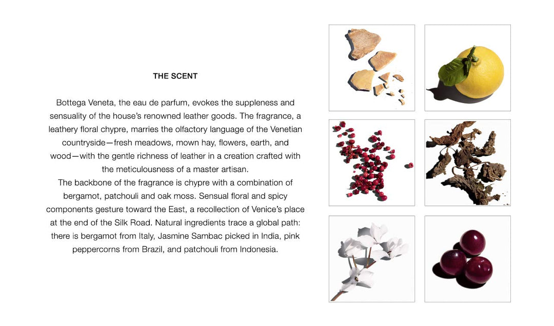 BOTTEGA VENETA EDP Vapo 50 ml 50 ml (1er Pack), 50 ml (1er Pack)