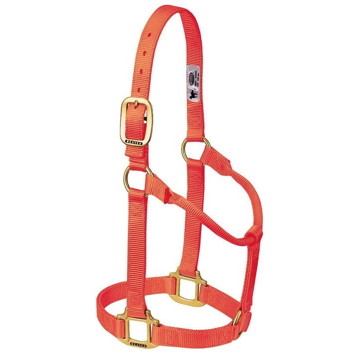 WEAVER Leather, Nicht verstellbares Halfter Orange/Abendrot im Zickzackmuster (Sunset Chevron) Avera
