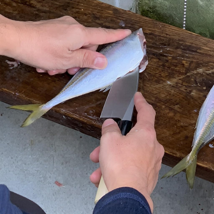 Küchenmesser Deba Japanisches Handgeschmiedet Klinge gehämmert 12 cm - Japan Messer Debamesser