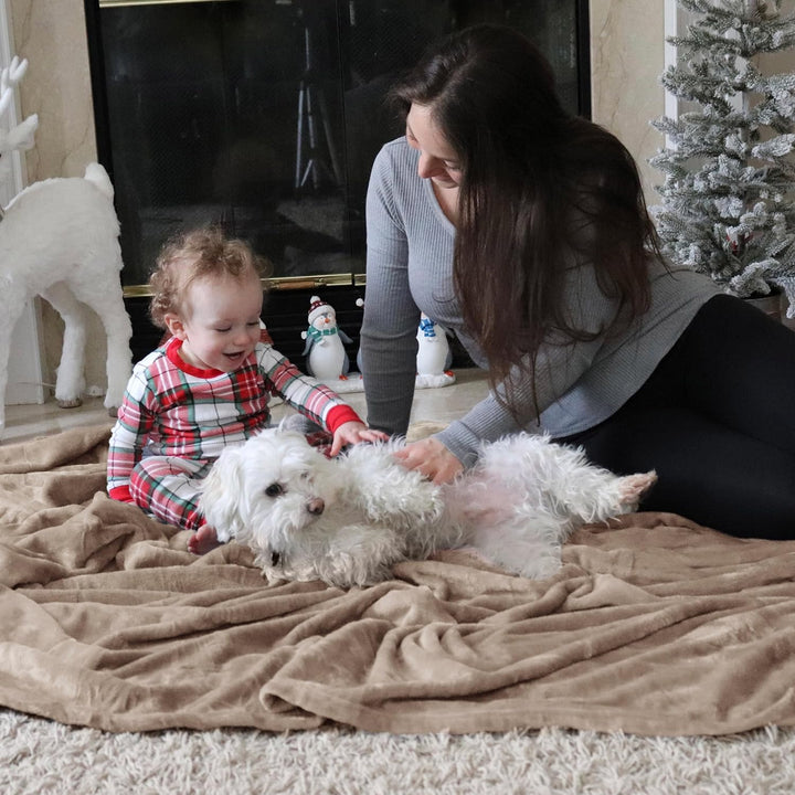 BEDSURE Kuscheldecke Flauschig Decke Fleecedecke - Wohndecke Warm Winter Weich, Sofadecke XXL, Decke