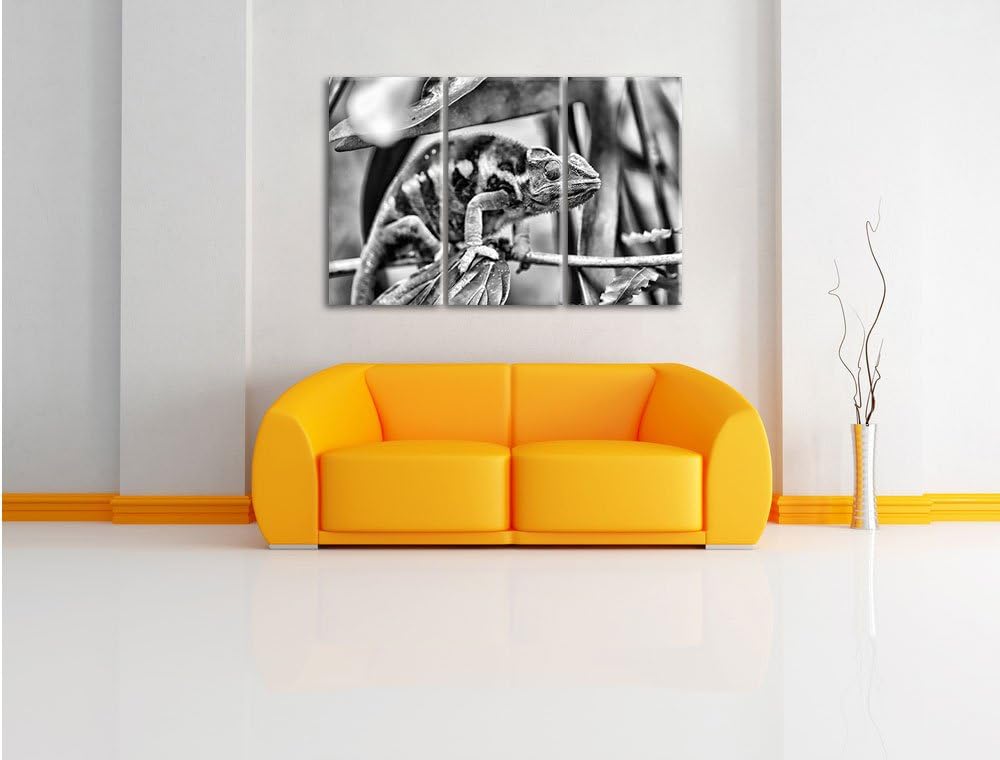 Pixxprint Monocrome, braunes Chamäleon 3-Teiler Leinwandbild 120x80 Bild auf Leinwand