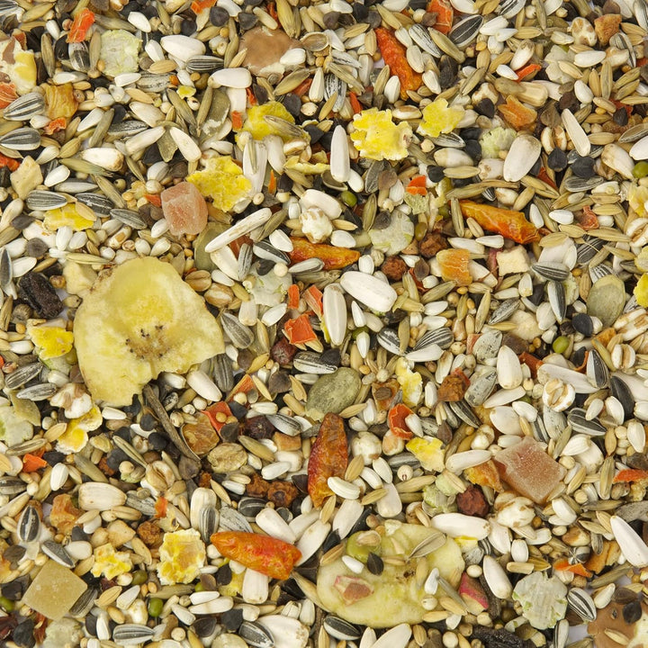 Papagei-Fit, Papageien-Futter ohne Nüsse 10 kg, 10 kg