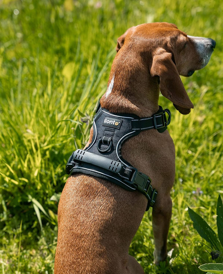 lionto Hundegeschirr gepolstert aus weichem Nylon, Grösse M, reflektierendes Anti Zug Geschirr für H