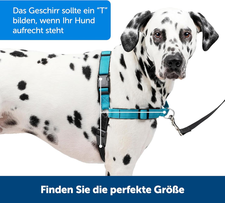 PetSafe Easy Walk Deluxe Anti-Zieh-Geschirr, Verringert Würgen und Husten, Mit Reflektoren ausgestat