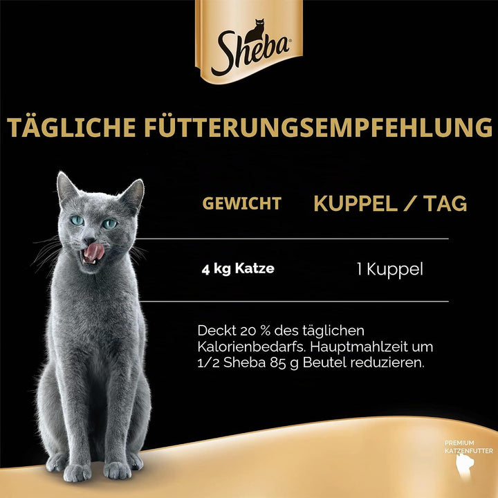 SHEBA® Schale Filets Huhn mit Garnelen 16 x 60g, Garnele