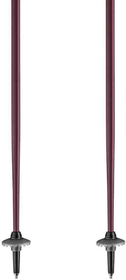 LEKI Unisex-Adult Stick 1 dunkelblau, 1 dunkelblau