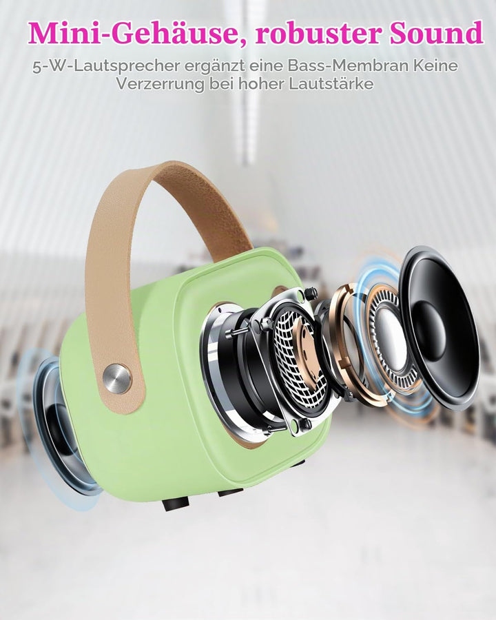 PRUNUS Karaoke Maschine Kinder mit 2 Mikrofonen, Mini Karaoke Set mit Stereosound und Heavy Bass für