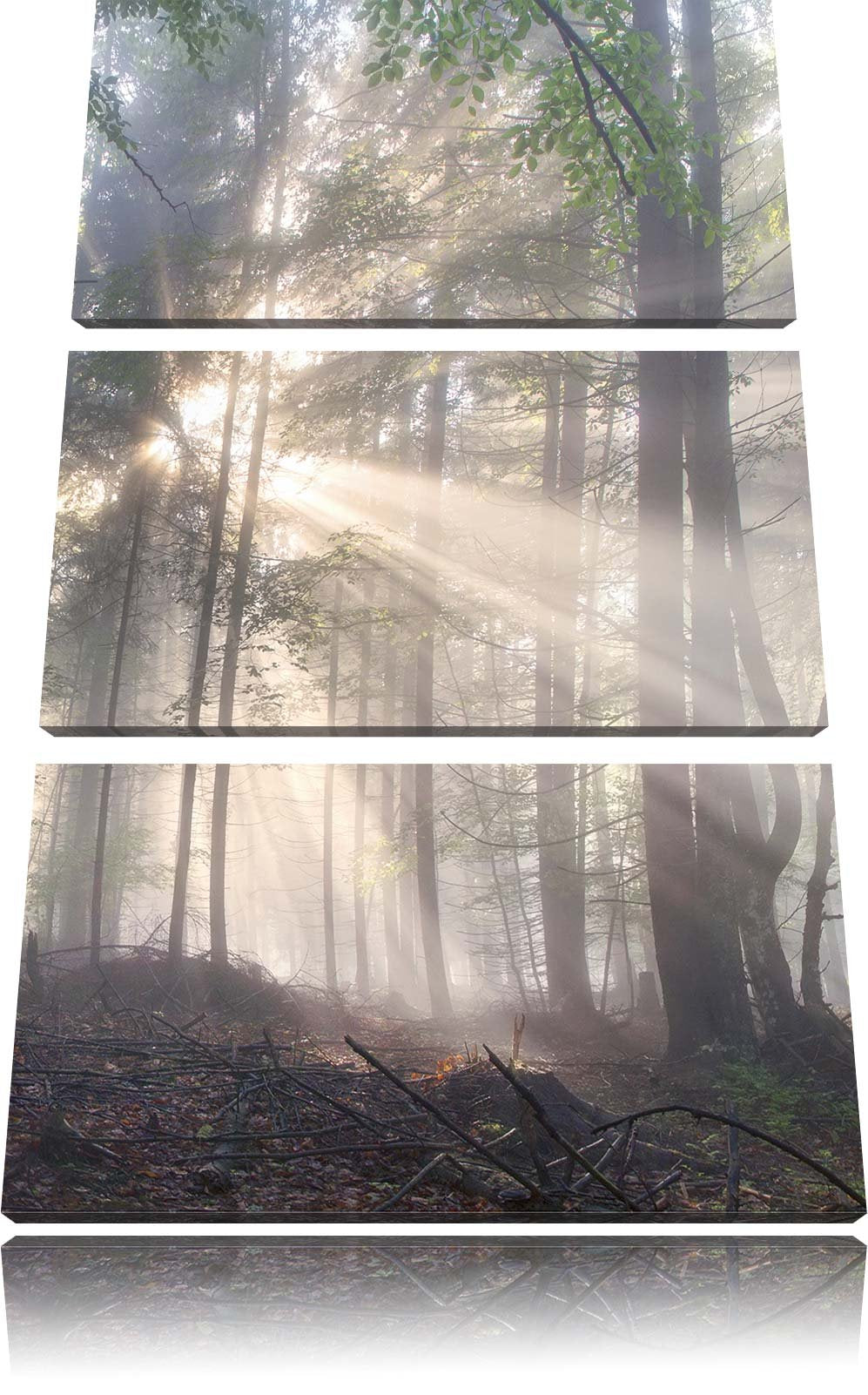 Pixxprint diesiger Waldweg als Leinwandbild/Grösse: 3 Teilig (120x80) cm/Wandbild/Kunstdruck/fertig