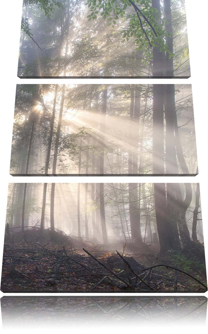 Pixxprint diesiger Waldweg als Leinwandbild/Grösse: 3 Teilig (120x80) cm/Wandbild/Kunstdruck/fertig