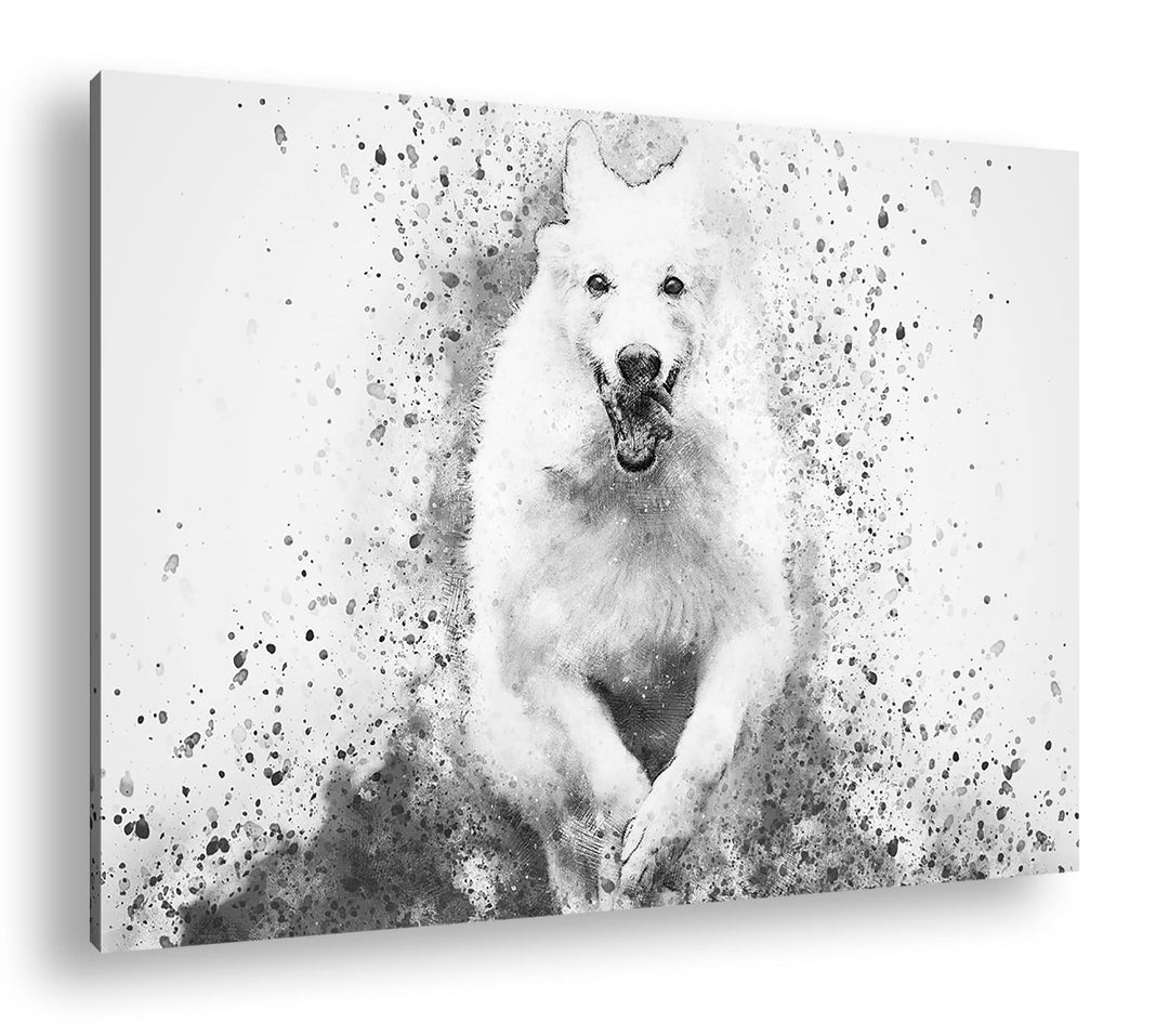 deyoli spielender Hund Format: 100x70 Effekt: Schwarz&Weiss als Leinwandbild, Motiv fertig gerahmt a