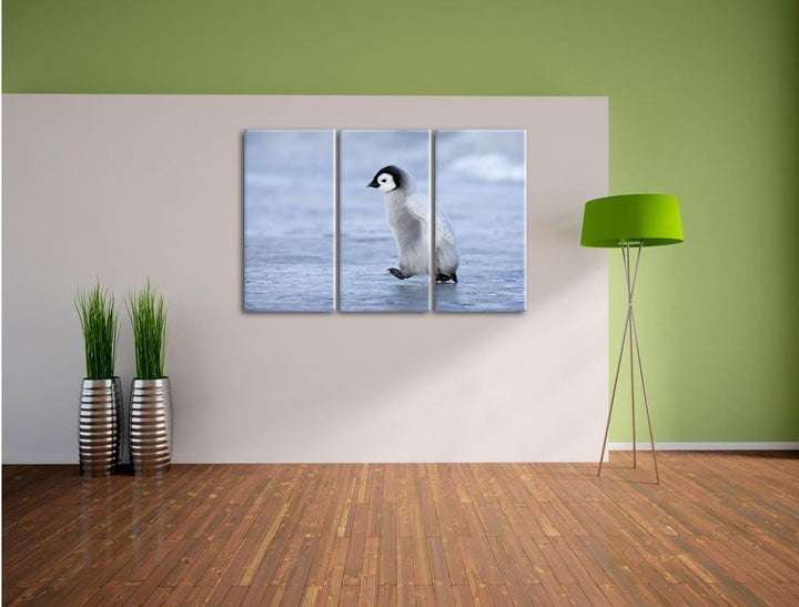 Pixxprint Niedliches Kaiserpinguinkücken als Leinwandbild/Grösse: 3 Teilig (120x80) cm/Wandbild/Kuns