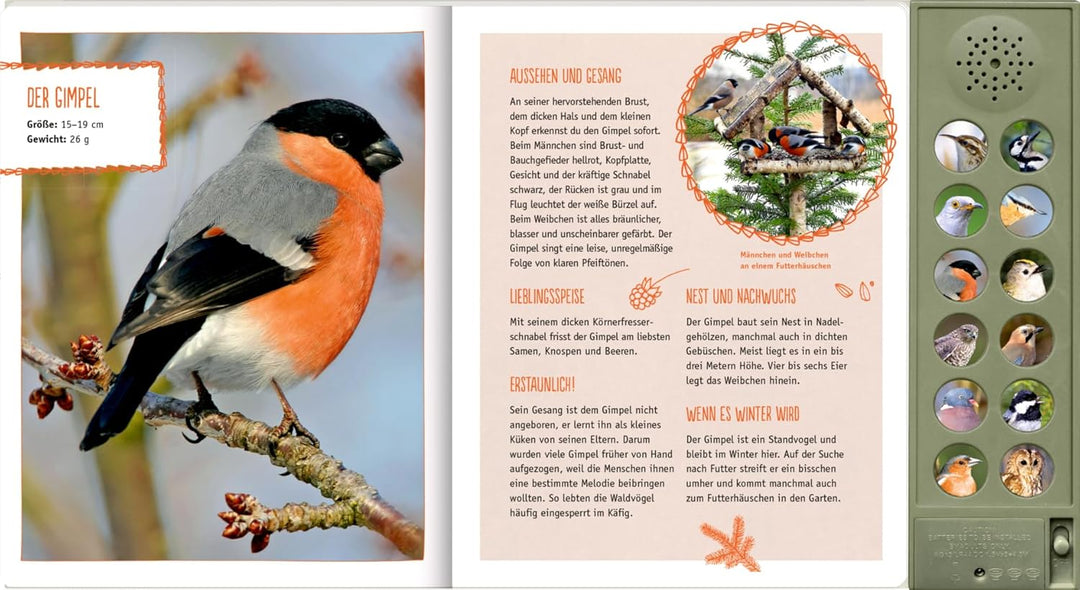 Vögel in unseren Wäldern: Mit 12 echten Tierstimmen: Soundbuch mit 12 bestechend klaren Vogelstimmen