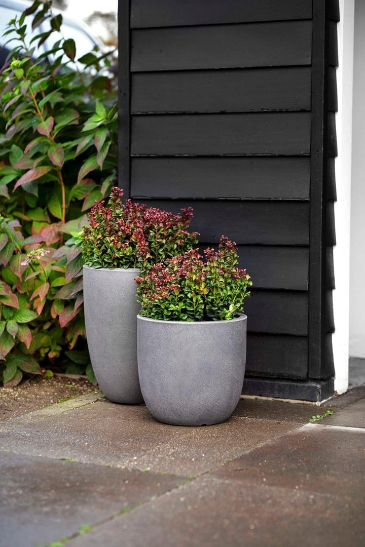 Capi Europe - Blumentopf Kugel Smooth NL - 43x41 - Schwarz - Öffnung Ø35 - Blumentopf für den Innen-