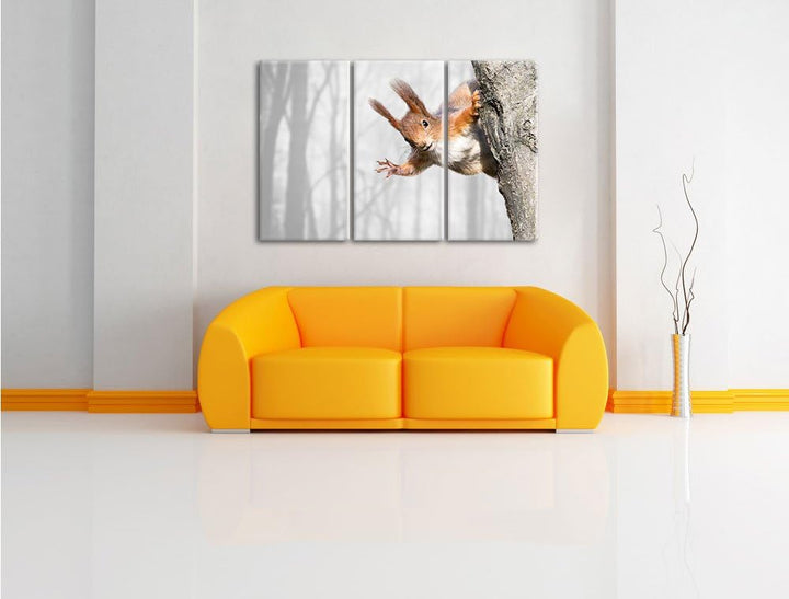 Pixxprint Neugierig rotes Eichhörnchen als Leinwandbild/Grösse: 3 Teilig (120x80 cm) cm/Wandbild/Kun