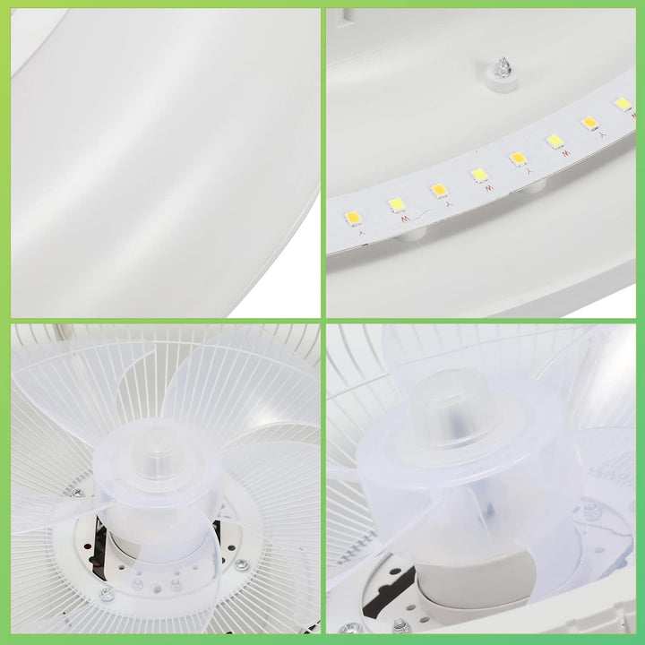Daromigo Deckenventilator Mit Beleuchtung, 80W LED Stufenloses Dimmen Ventilator Beide Richtungen Dr