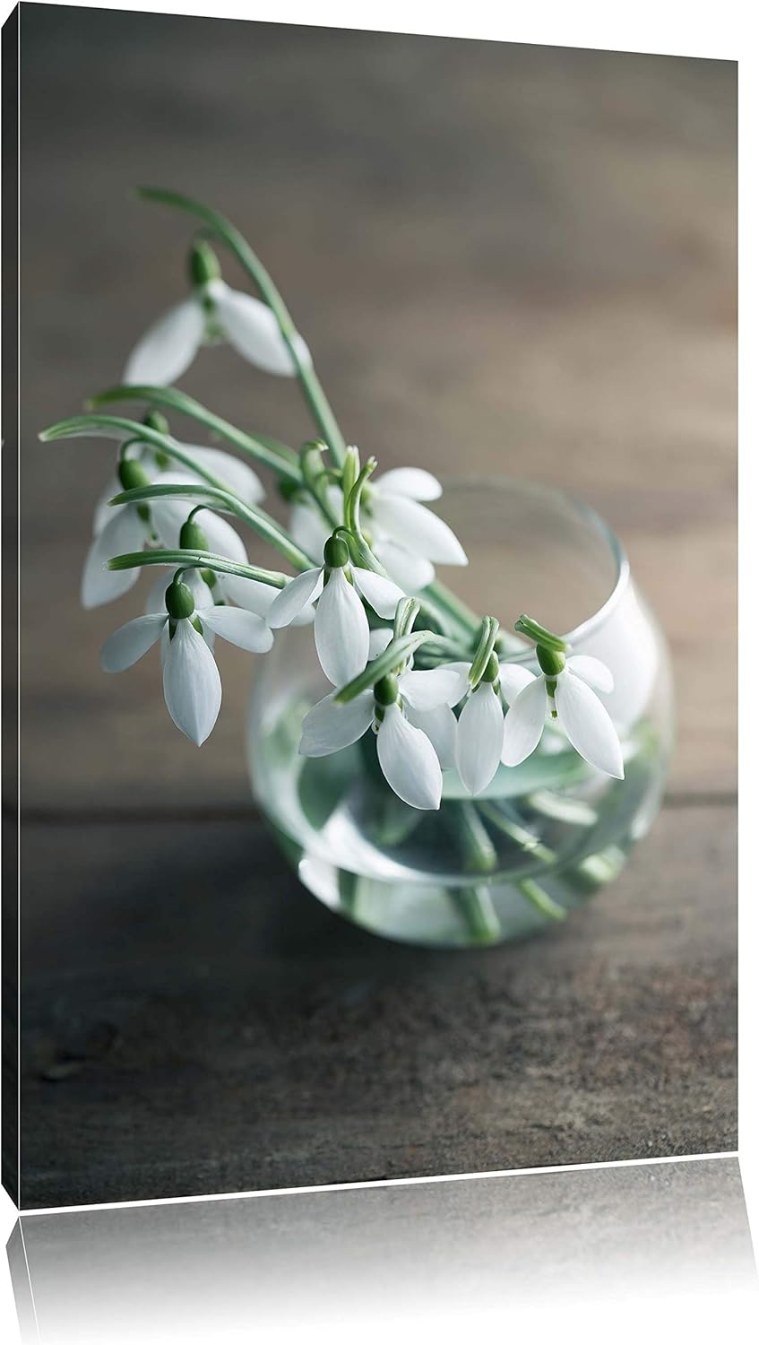 Pixxprint Schneeglöckchen in der Vase als Leinwandbild/Grösse: 100x70 / Wandbild/Kunstdruck/fertig b