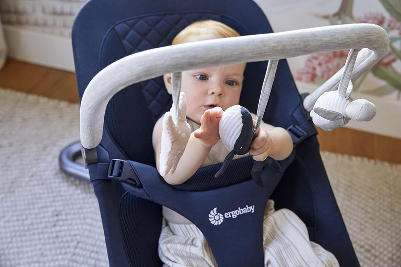 Ergobaby Evolve Bouncer Spielbogen, Zubehör für die Ergobaby 3-in-1 Babywippe Babyschaukel für Neuge