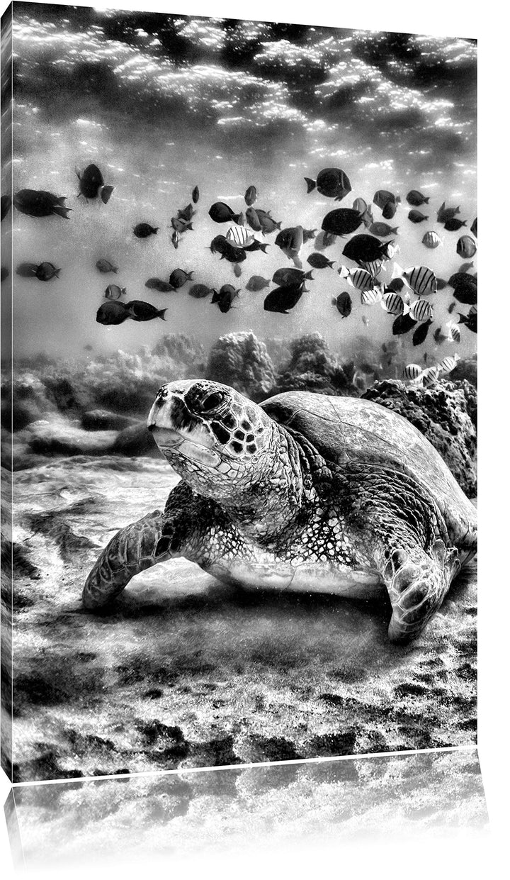 Monocrome, Ninja Turtles, Format: 100x70 auf Leinwand, XXL riesige Bilder fertig gerahmt mit Keilrah