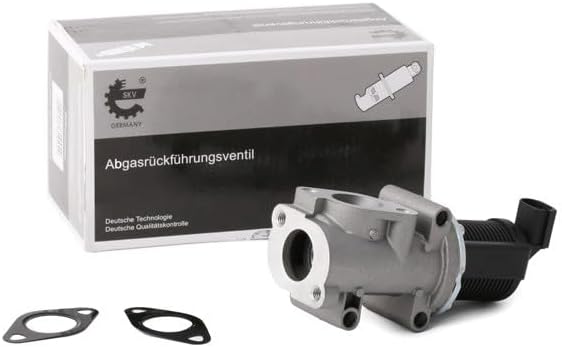 ESEN SKV 14SKV055 AGR-Ventile
