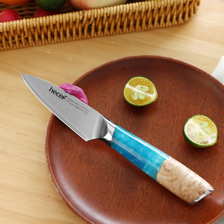 hecef Schälmesser Damast 9cm, Gemüsemesser & Obstmesser Klein mit Ergonomischem Harzgriff, 67-lagige