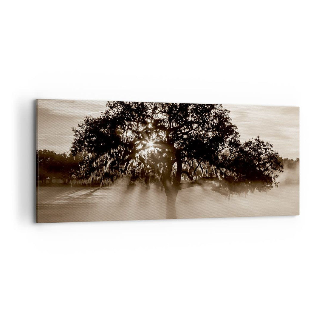 Wandbilder Dekoration Wohnzimmer Baum Feld Natur Panorama Bilder auf Leinwand 120x50cm Leinwandbild