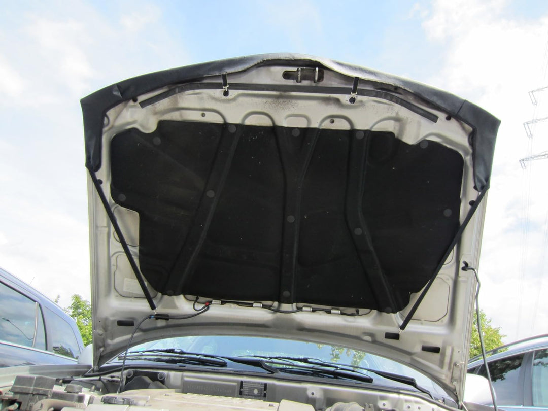 AB-00874 CARBON OPTIK Auto Bra kompatibel mit Mitsubishi Carisma Bj. 1993-1999 Haubenbra Steinschlag