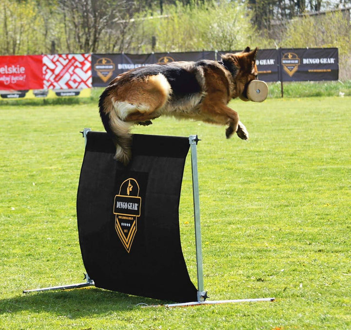 Dingo Gear Sprunghürde für das Hundetraining Höhenverstellung auf 1 Meter, Breite 1 Meter, Hindernis