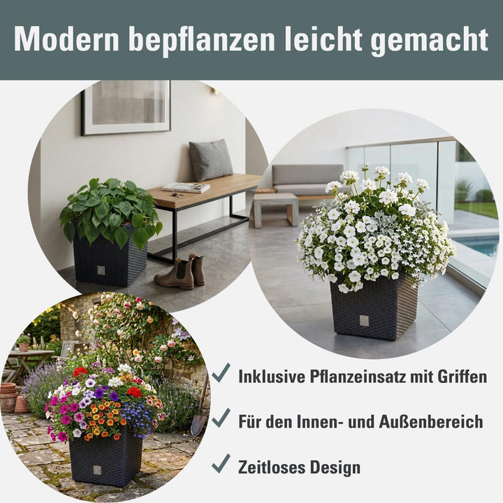 Prosperplast Blumentopf in Rattan-Optik Pflanzkübel mit Einsatz | anthrazit | wetterfest &amp; UV-bestän