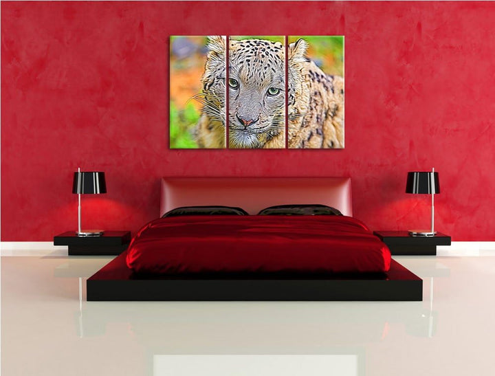 eleganter Schneeleopard Spezial 3-Teiler Leinwandbild 120x80 Bild auf Leinwand, XXL riesige Bilder f