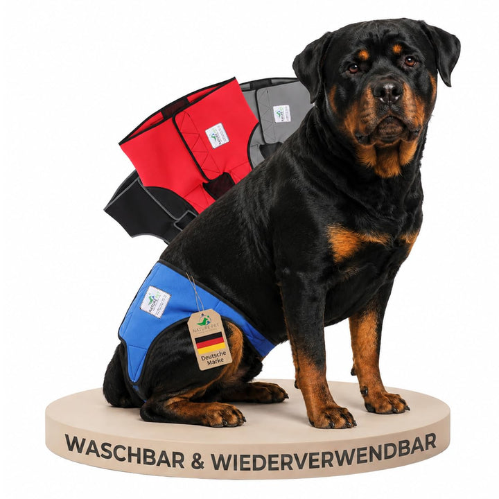 Läufigkeitshose für Hündinnen 2.0 - Hundewindeln aus hochwertigem perforiertem Neopren für einen opt