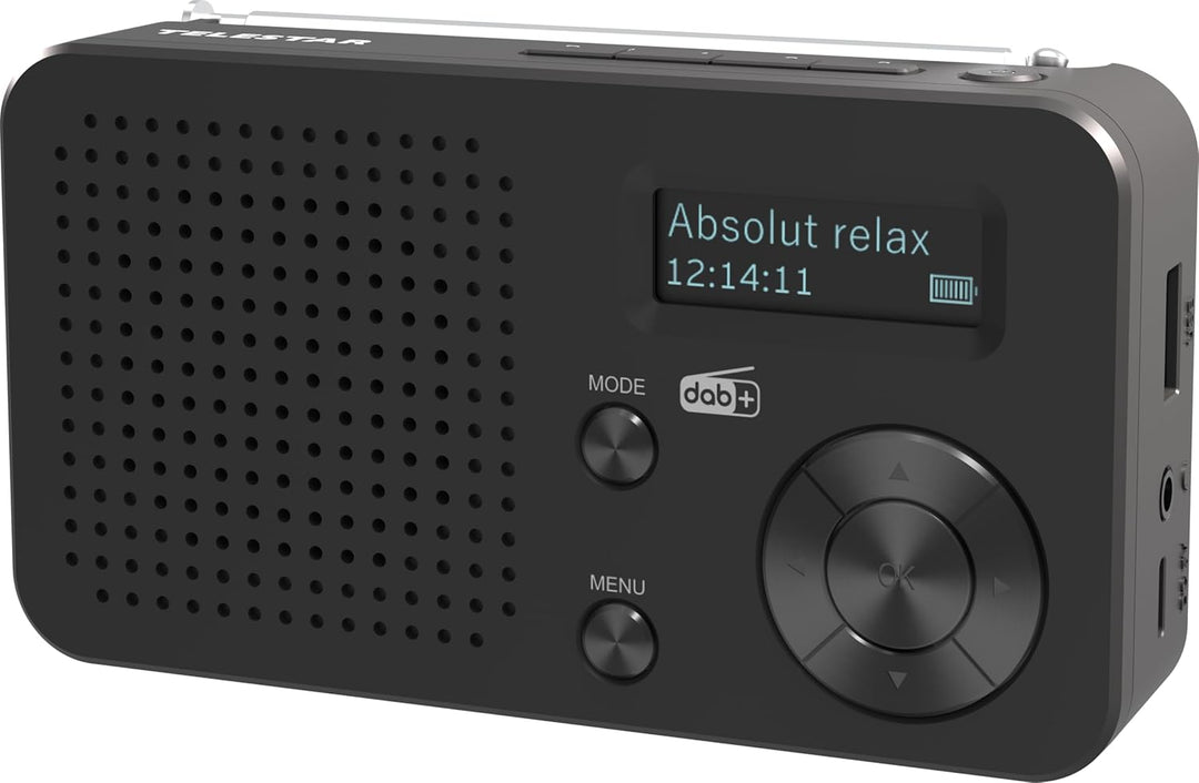 TELESTAR TOP 100 – Mobiles DAB+/UKW Radio (austauschbarer Akku, bis zu 15 Std. Spielzeit, kurzes Lad