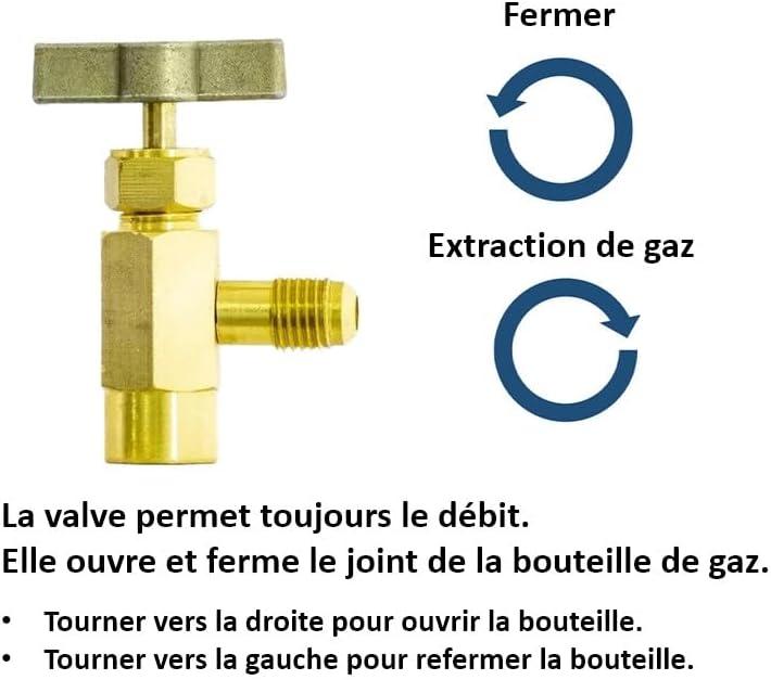 Füllset R290 Gasdose 370g + Ventil + Füllschlauch + Einstechventil BPV-31 für Klimaanlage, Wärmepump