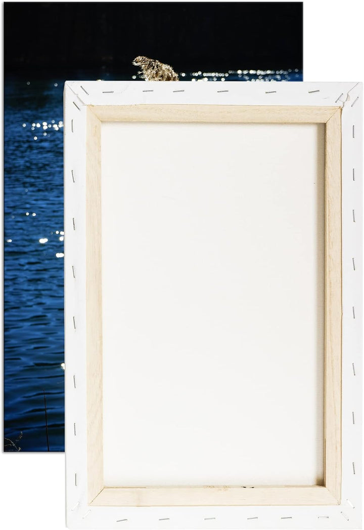 deyoli Schilf mit schimmernden Wasser im Format: 100x70 als Leinwandbild, Motiv fertig gerahmt auf E