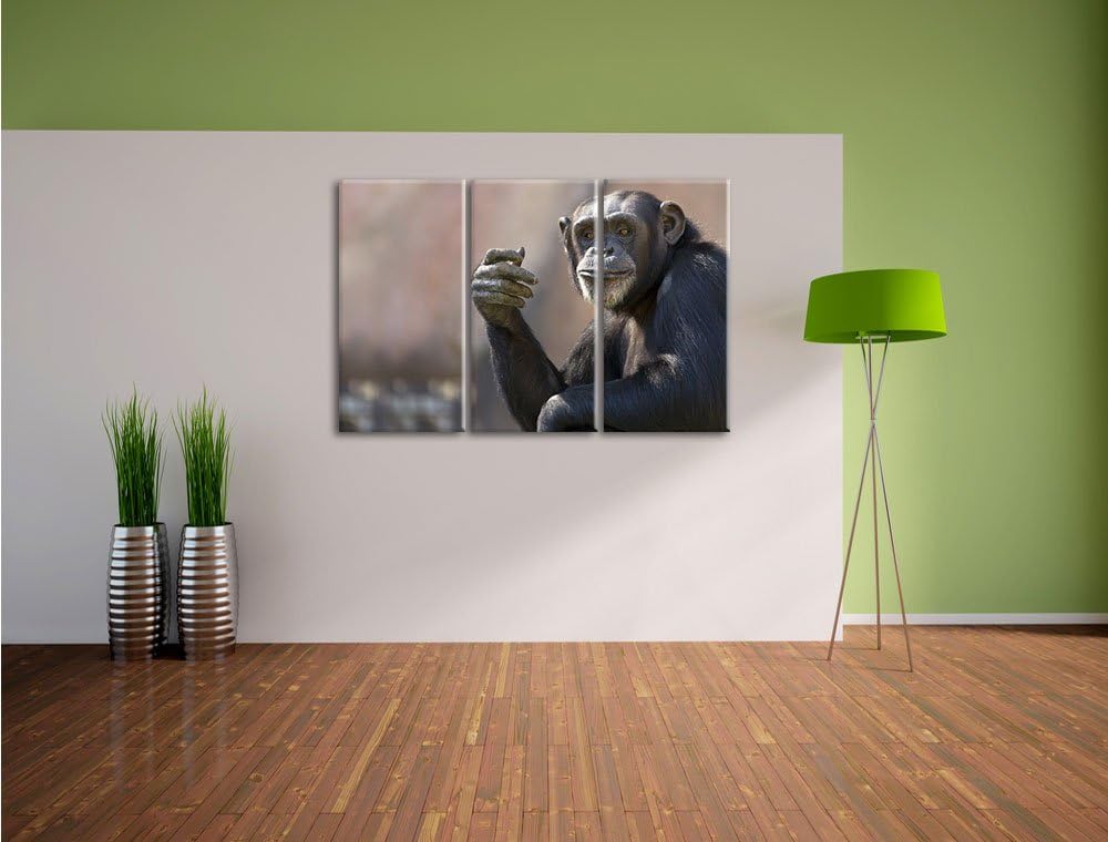 Pixxprint Aufmerksamer Schimpanse als Leinwandbild | Grösse: 3 Teilig (120x80) | Wandbild| Kunstdruc