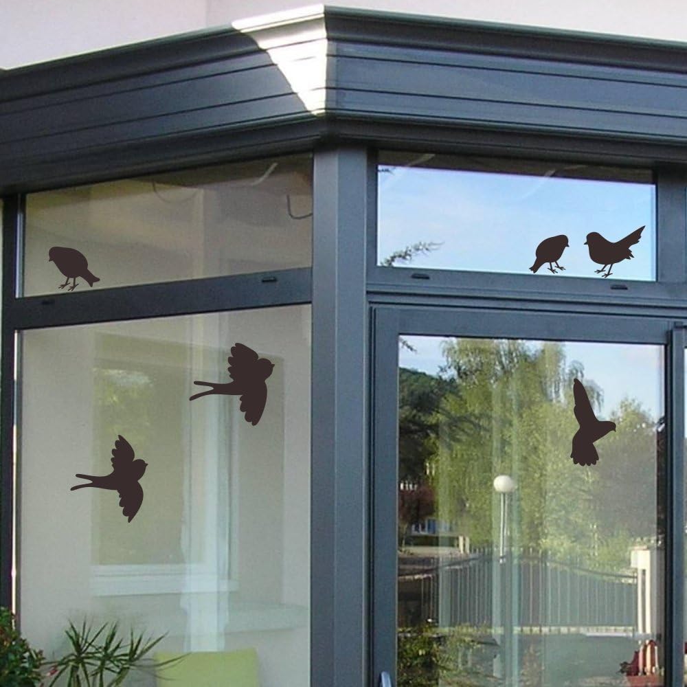 Decooo.be 22 Fenster-Warnvögel - Verhindert Vogelschlag - Set komplett mit Spray und Rakel - Selbstk
