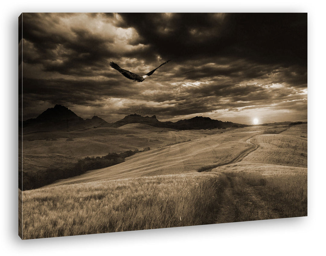 deyoli grüne Wiese mit Adler Format: 80x60 Effekt: Sepia als Leinwandbild, Motiv fertig gerahmt auf
