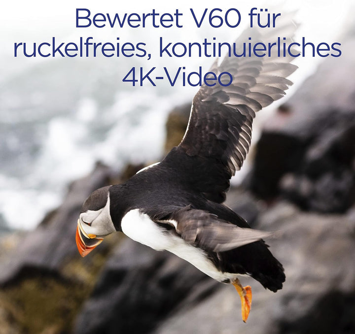 Integral 64GB UHS-II SD-Karte v60 Bis zu 260MB/s Lese- und 100MB/s Schreibgeschwindigkeit SDXC Profe