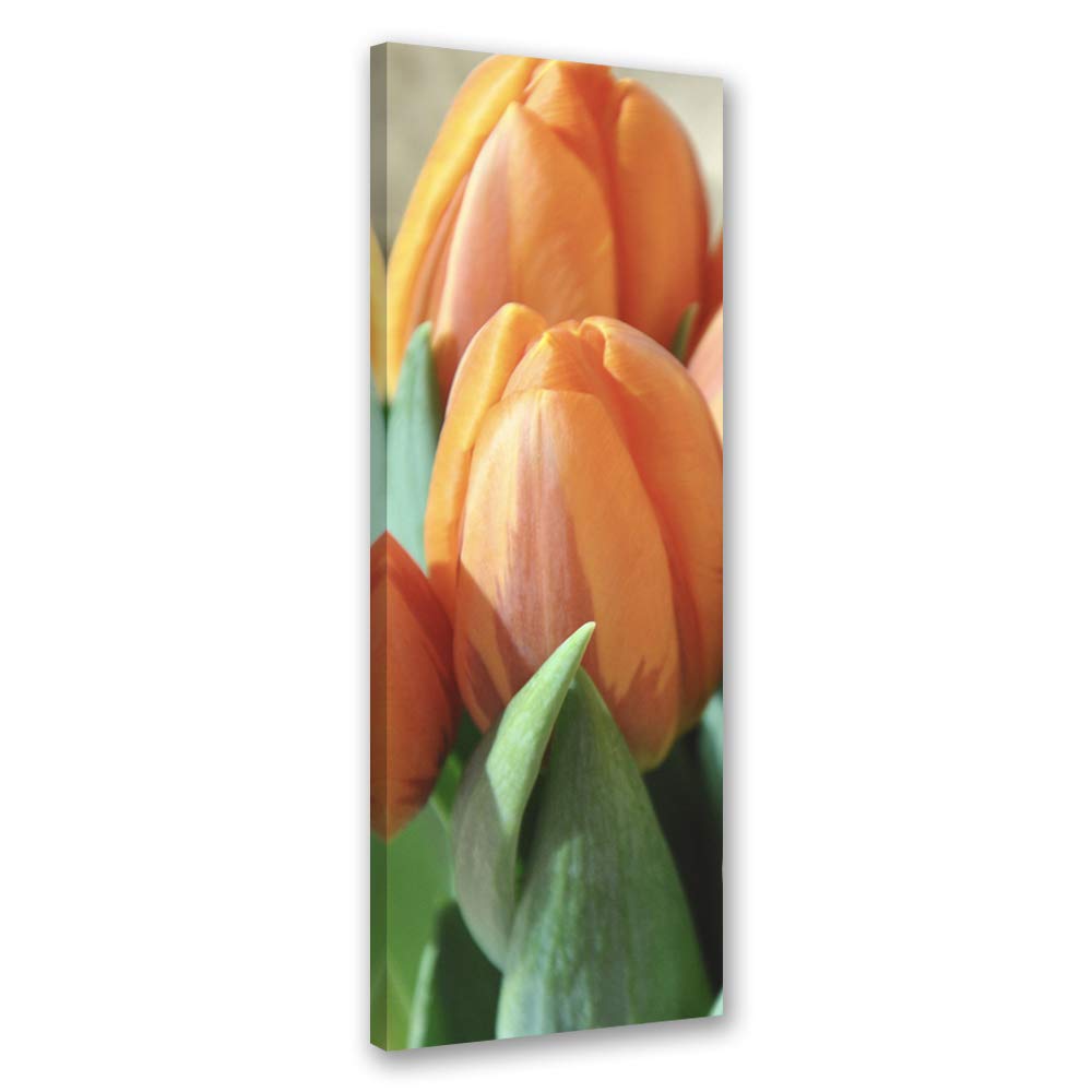 Feeby Bild auf Leinwand abstrakt Kunstdruck modern Tulpen Orange 30x90 cm Leinwandbild 30x90 cm Oran