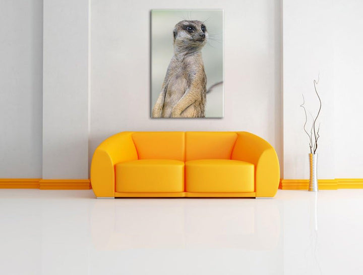 Pixxprint aufmerksames Erdmännchen auf Leinwand, XXL riesige Bilder fertig gerahmt mit Keilrahmen, K