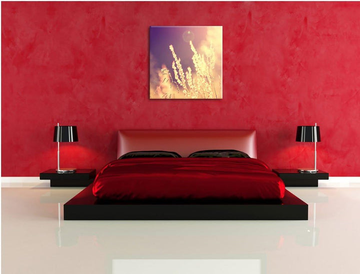 Gräser im Sonnenuntergang, Format: 70x70 auf Leinwand, XXL riesige Bilder fertig gerahmt mit Keilrah