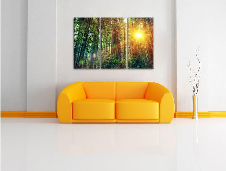Pixxprint Wald bei Sonnenlicht / 3-Teilig/Gesamtmass 120cm Leinwandbild bespannt auf Holzrahmen/Wand