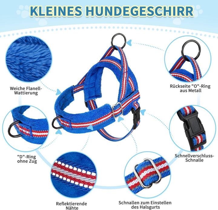 Eyein Hundegeschirr mit Leine für mittelgrosse Kleine Hunde, Weich gepolsterter No-Pull Brustgeschir