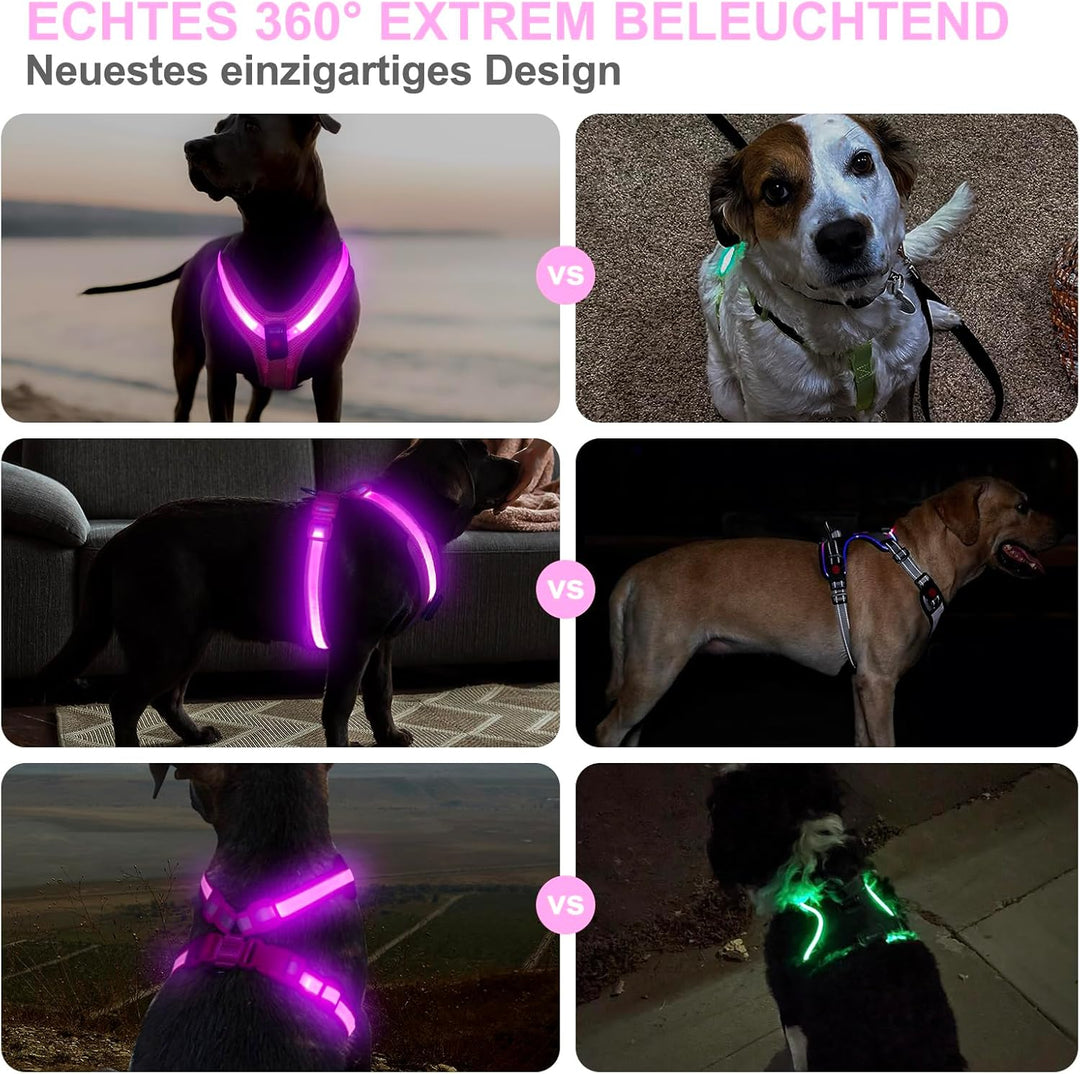 Hundegeschirr Leuchtend, Leuchtgeschirr für Hunde Aufladbar, Leuchtendes Hundegeschirr LED, Leucht G