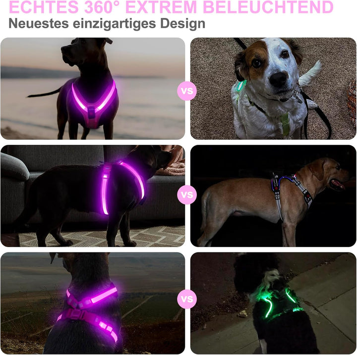 Hundegeschirr Leuchtend, Leuchtgeschirr für Hunde Aufladbar, Leuchtendes Hundegeschirr LED, Leucht G