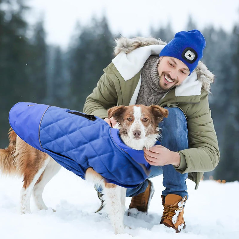 PETCUTE Hunde Wintermantel Wasserdichter Hundemantel für Den Winter Warme Hundejacken mit Bauchschut