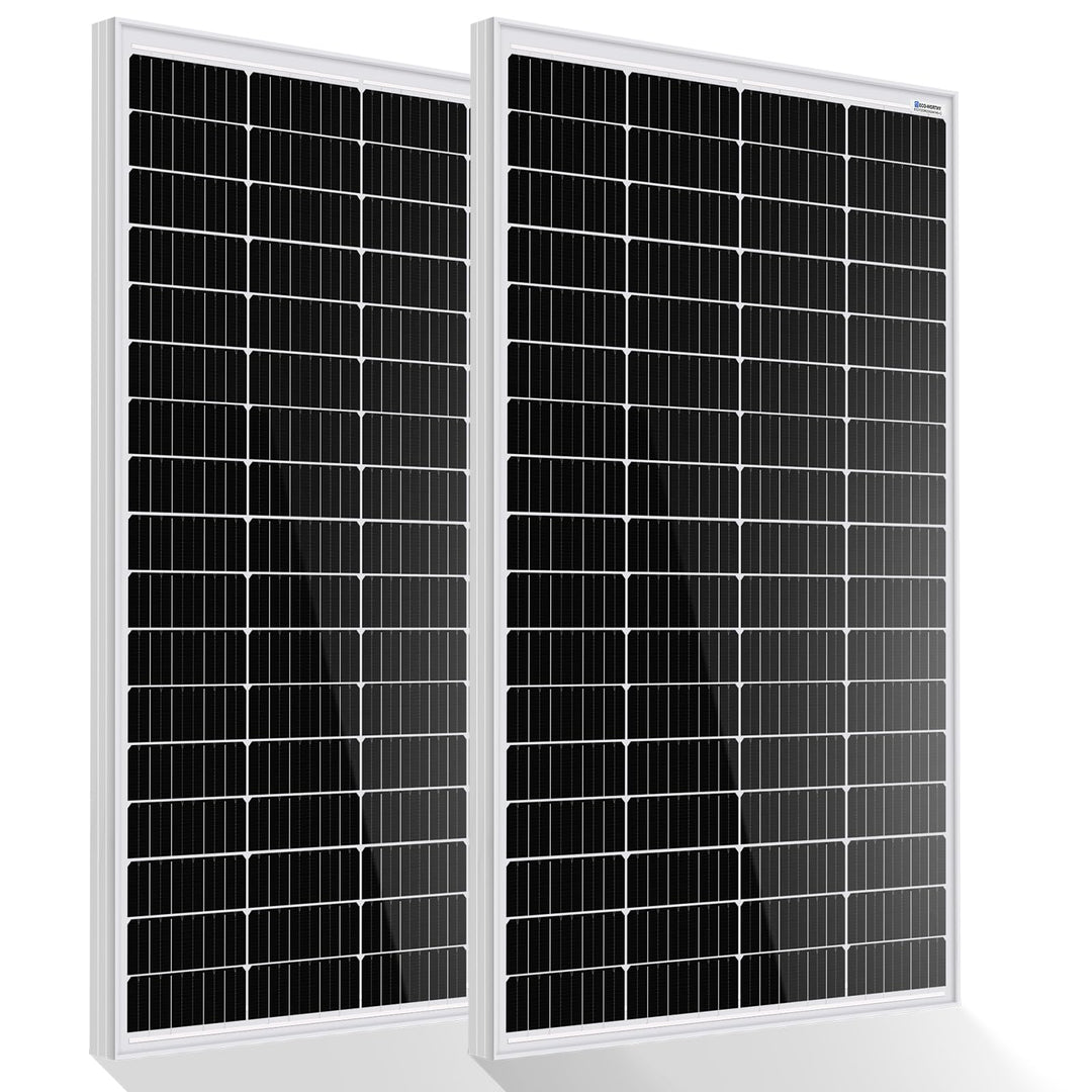 ECO-WORTHY 340W 12 Volt Monokristallines Solarmodul, 2 Stücke 170W Solarpanel Ideal zum Aufladen von