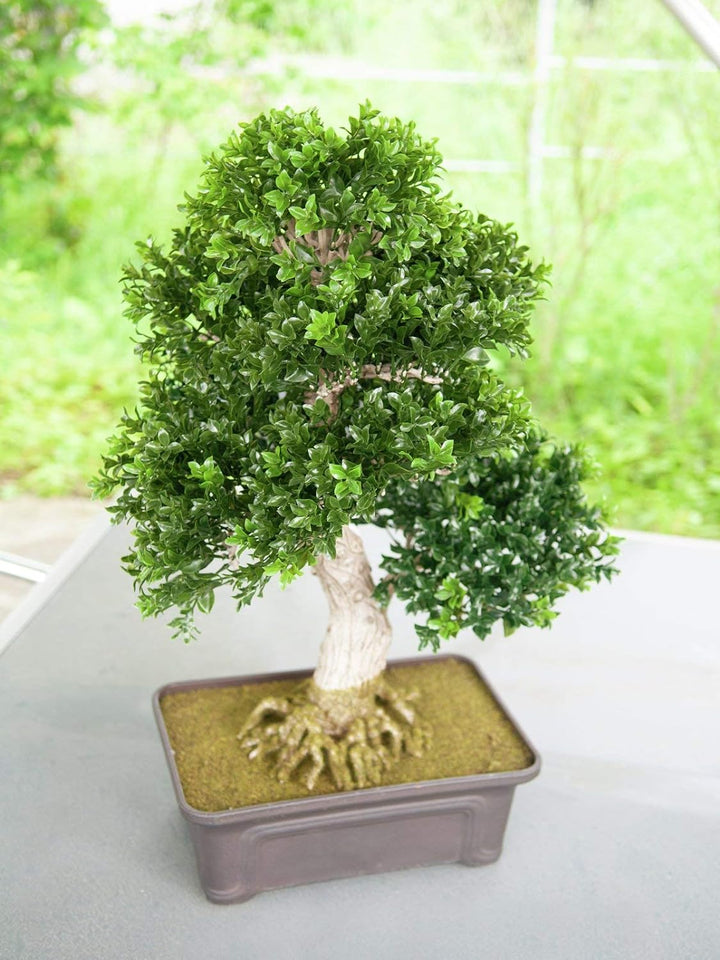 EUROPALMS Buchsbonsai, Kunstpflanze, 61 cm | Bonsai-Buchsbäumchen als Tischdeko